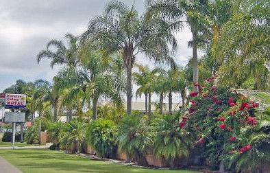 Forster Palms Motel - Accommodation Rockhampton 2
