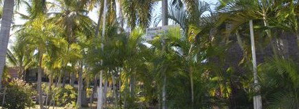 Pine Tree Motel - Accommodation Rockhampton 2