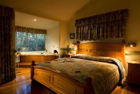 Clouds Of Montville Mountain Resort Motel - Accommodation Rockhampton 2