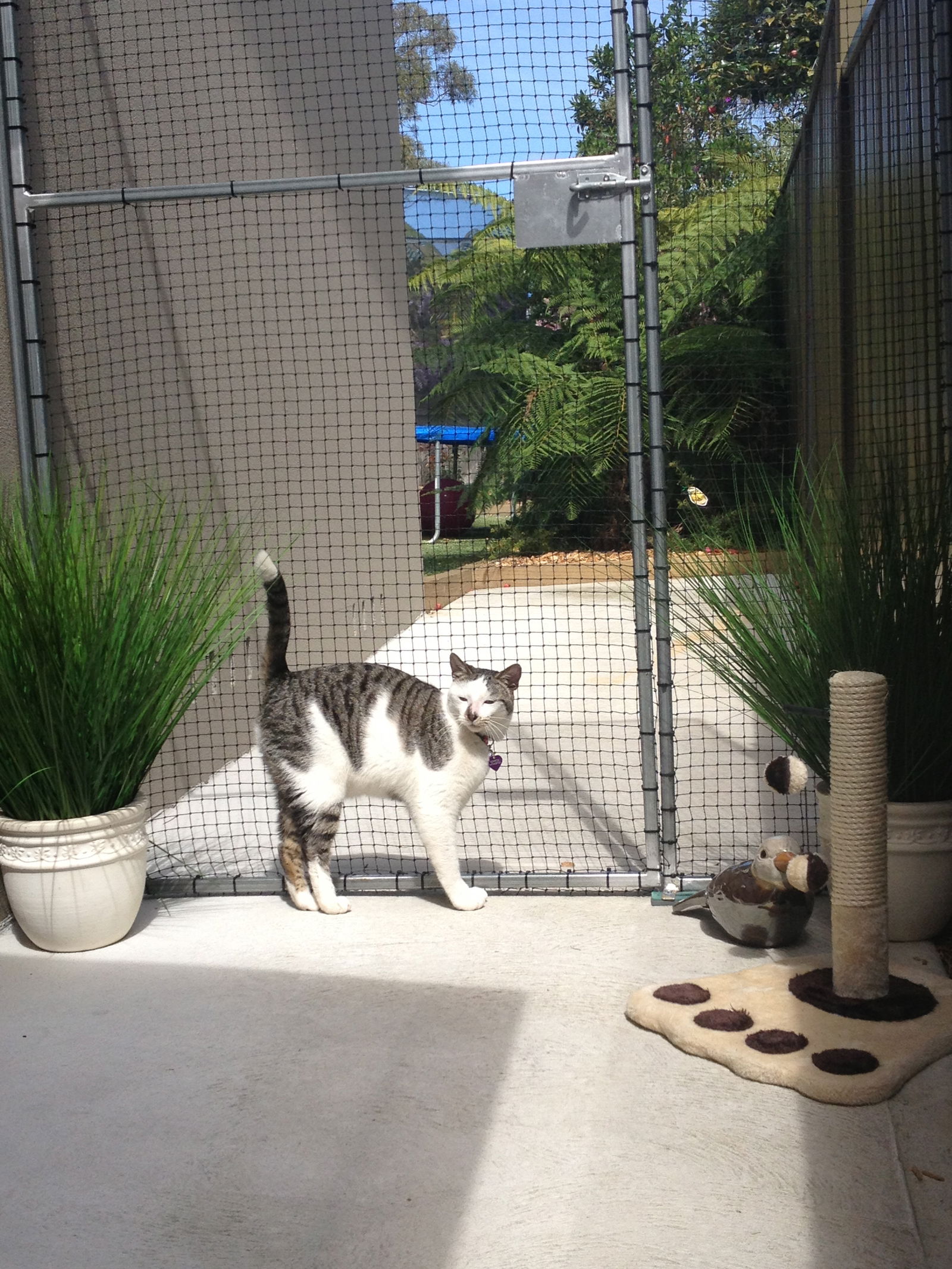 Caringbah South NSW Accommodation Rockhampton