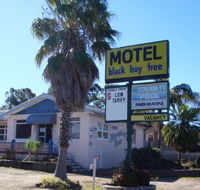 Blackboy Tree Motel - Accommodation Rockhampton