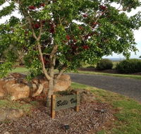 Belle Vue Studio - Accommodation Rockhampton