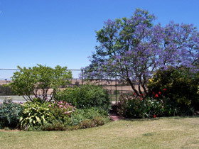 Chuckem Farm - Accommodation Rockhampton 0