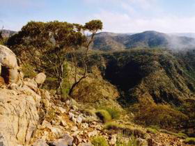 Bendleby Ranges - Accommodation Rockhampton 0