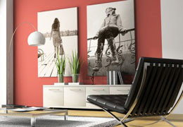 A Good Sort - Accommodation Rockhampton 3