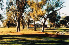 Blue Gum House - Accommodation Rockhampton 0