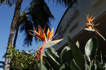 Beachside Resort - Kawana Waters - Accommodation Rockhampton 4