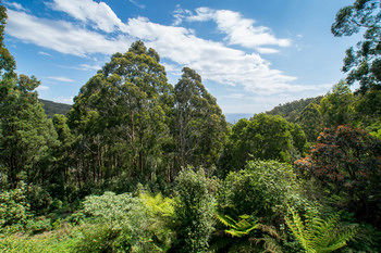 A Camelot Tower & Penthouse - Accommodation Rockhampton 46