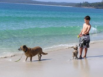 Paradise Bungalow - Accommodation Rockhampton 19
