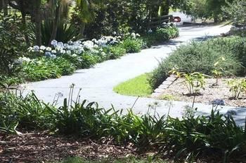 Terrigal Hinterland Bed And Breakfast - Accommodation Rockhampton 10