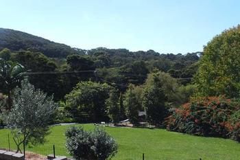 Terrigal Hinterland Bed And Breakfast - Accommodation Rockhampton 14