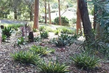 Terrigal Hinterland Bed And Breakfast - Accommodation Rockhampton 20