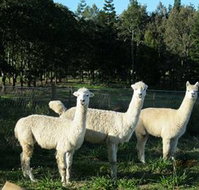 Blackwattle Farm BampB and Farm Stay - Accommodation Rockhampton