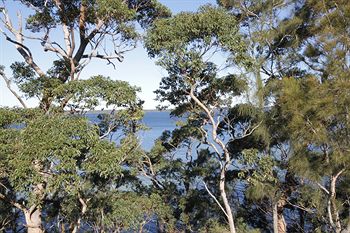 The Edgewater Bed & Breakfast - Accommodation Rockhampton 0