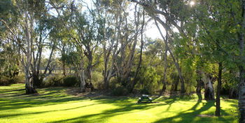 Tooleybuc Motel - Accommodation Rockhampton 5