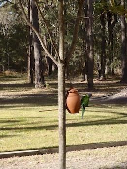 Woollamia Village Retreat - Accommodation Rockhampton 2