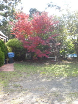 Woollamia Village Retreat - Accommodation Rockhampton 29