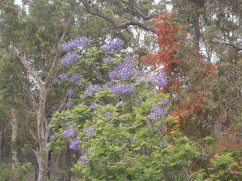 Woollamia Village Retreat - Accommodation Rockhampton 40
