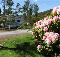 Zeehan Bush Camp  and Caravan Park - Accommodation Rockhampton