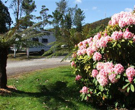 Zeehan Bush Camp  And Caravan Park - Accommodation Rockhampton 0