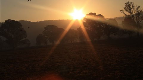 Gentle Annie Caravan And Camping Reserve - Accommodation Rockhampton 1