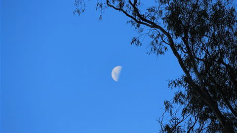 Gentle Annie Caravan And Camping Reserve - Accommodation Rockhampton 4
