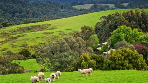 Johanna River Farm And Self Contained Cottages - Accommodation Rockhampton 1