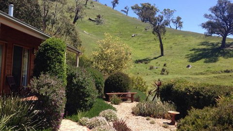 Strath Valley View Bed And Breakfast - Accommodation Rockhampton 5