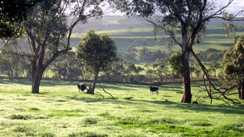 Bellevue Farmstay - Accommodation Rockhampton 0
