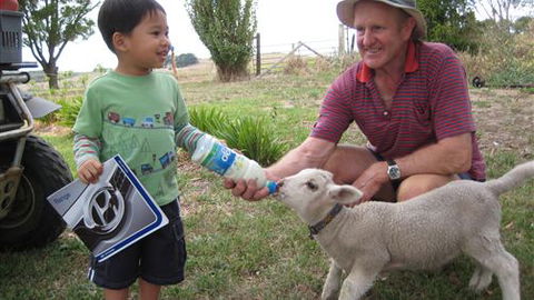 Bellevue Farmstay - Accommodation Rockhampton 1