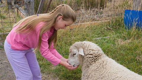 Bellevue Farmstay - Accommodation Rockhampton 3