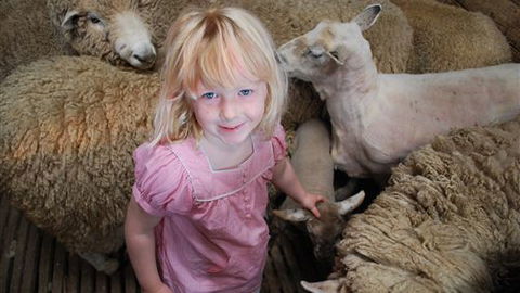 Bellevue Farmstay - Accommodation Rockhampton 4