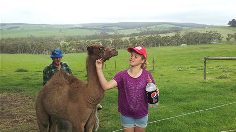 Bellevue Farmstay - Accommodation Rockhampton 8