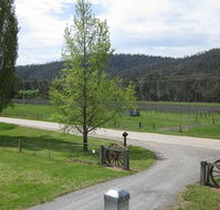 Glenmore Springs Accommodation - Accommodation Rockhampton