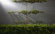 Toscano, Milano & Veneto On Olive - thumb 5