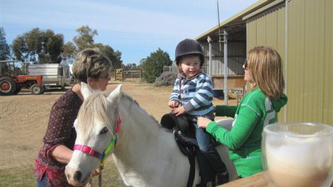 Cabarita Lodge - Accommodation Rockhampton 2