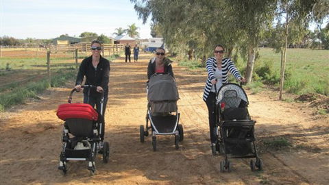 Cabarita Lodge - Accommodation Rockhampton 3