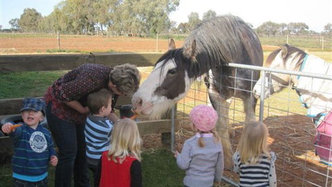 Cabarita Lodge - Accommodation Rockhampton 4