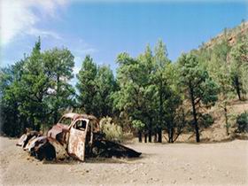 Moolooloo Station - Accommodation Rockhampton 1