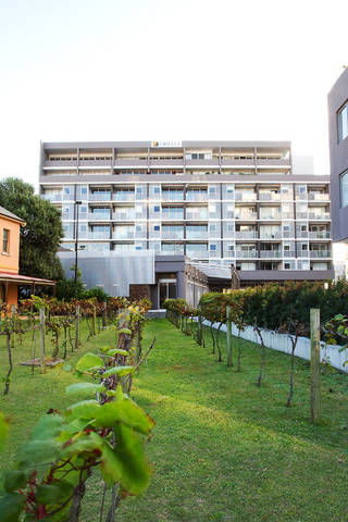 B7 Honeysuckle Apartments - Accommodation Rockhampton 1