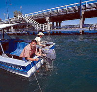 Comfort Inn Mandurah - Accommodation Rockhampton