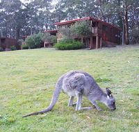 Jenolan Caves Cottages