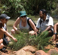 Nitmiluk Tours  Accommodation - Accommodation Rockhampton