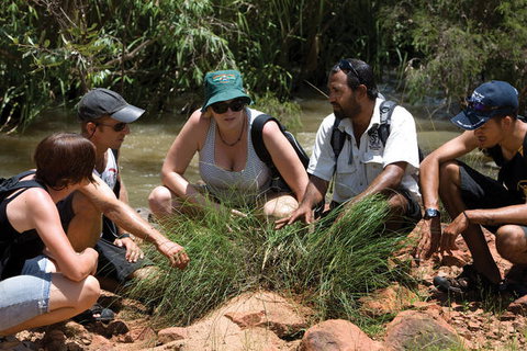 Nitmiluk Tours & Accommodation - Accommodation Rockhampton 0