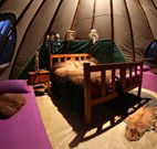 Aranyani Bison Adventure Tourist Park - Accommodation Rockhampton