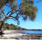 Currarong Beachside Holiday Park