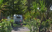 Darlington Point Riverside Caravan Park - Accommodation Rockhampton 1