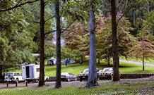 Dingo Tops Campground - Accommodation Rockhampton 1