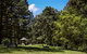 Dingo Tops Campground - thumb 2