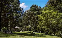 Dingo Tops Campground - Accommodation Rockhampton 2